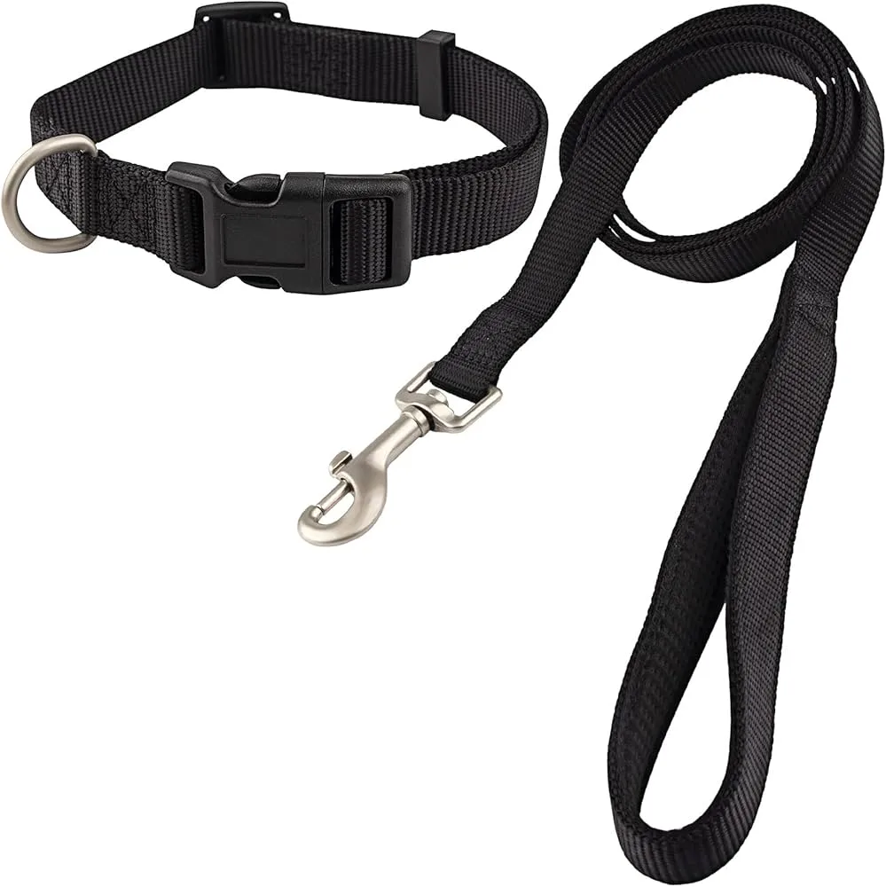 Nylon Collar with Leash
