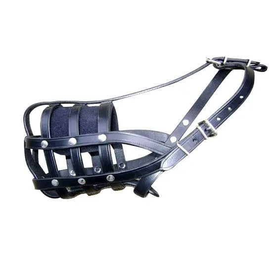 Leather Muzzle