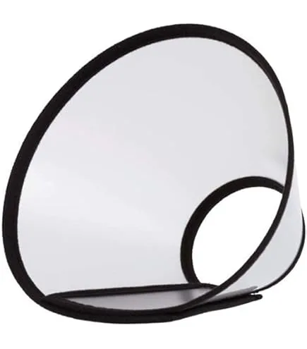 E-Collar