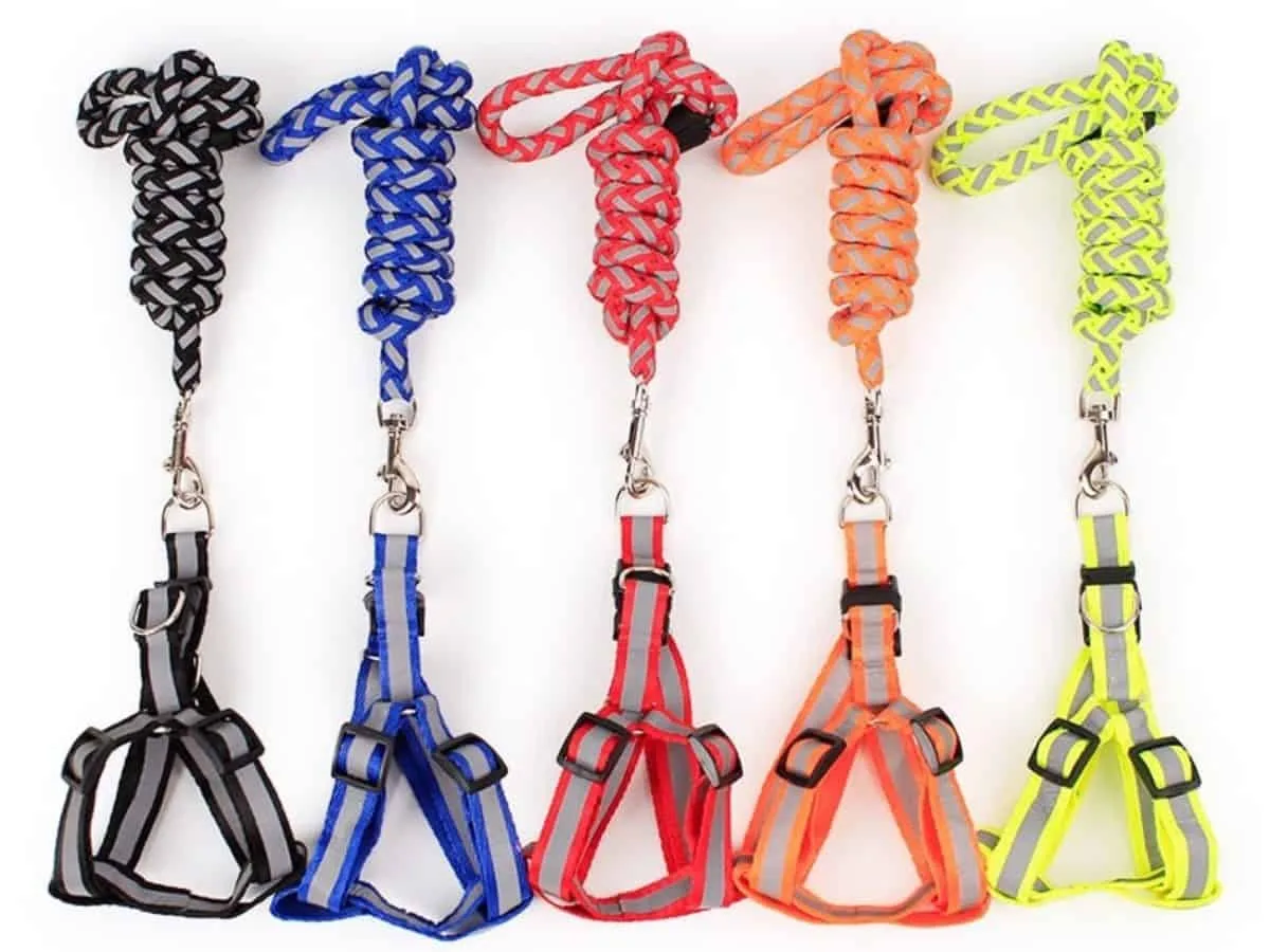Polypropylene Reflecting Harness with Leash
