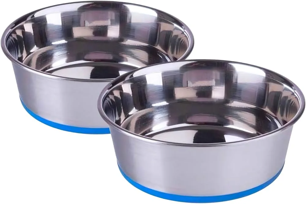 Mirror Polished Dog Bowl with Fixed Rubber Base