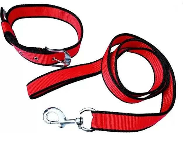 Polypropylene Collar with Leash