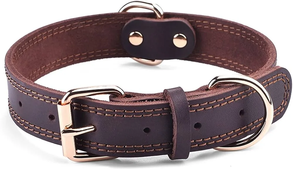 Leather Collar