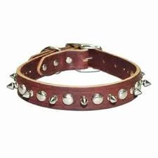 Leather Collar with Spikes