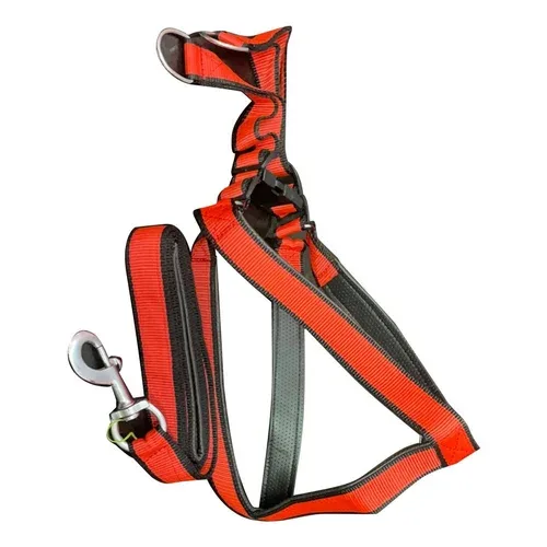 Polypropylene Harness with Leash