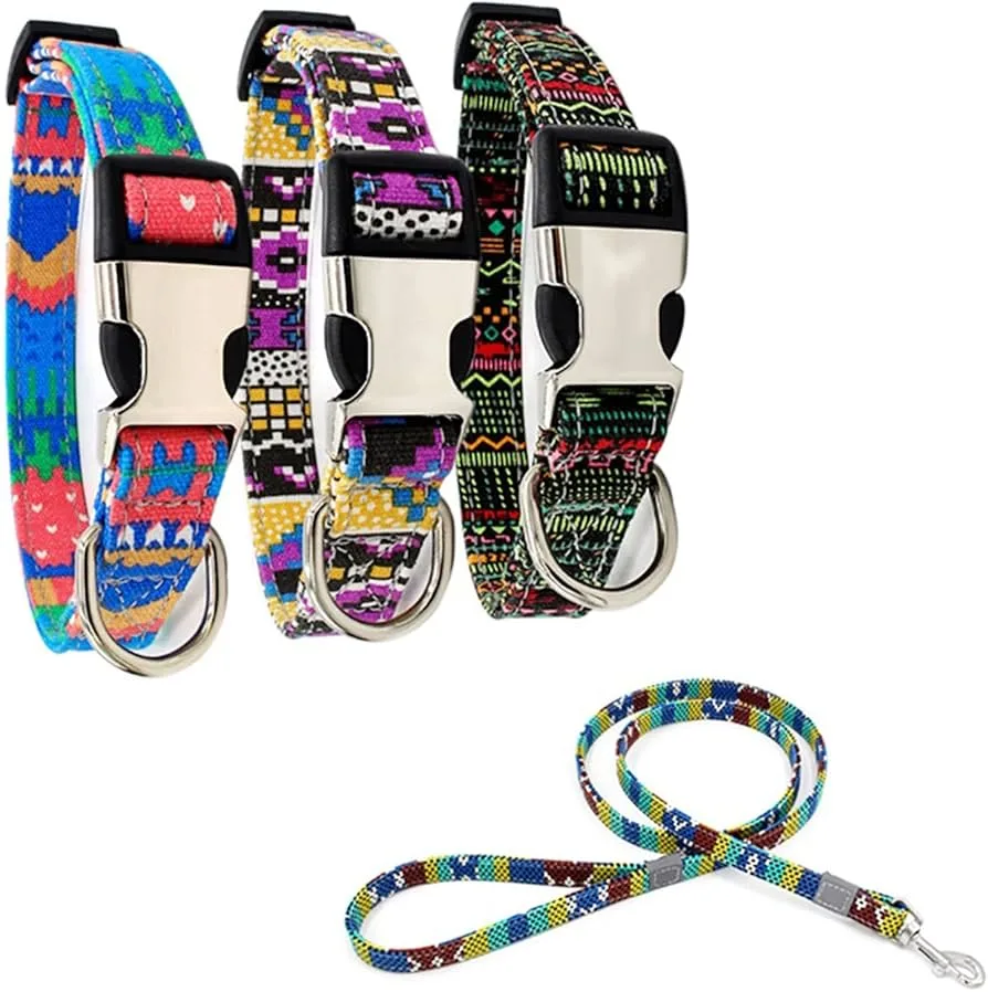 Printed Nylon Collar with Leash