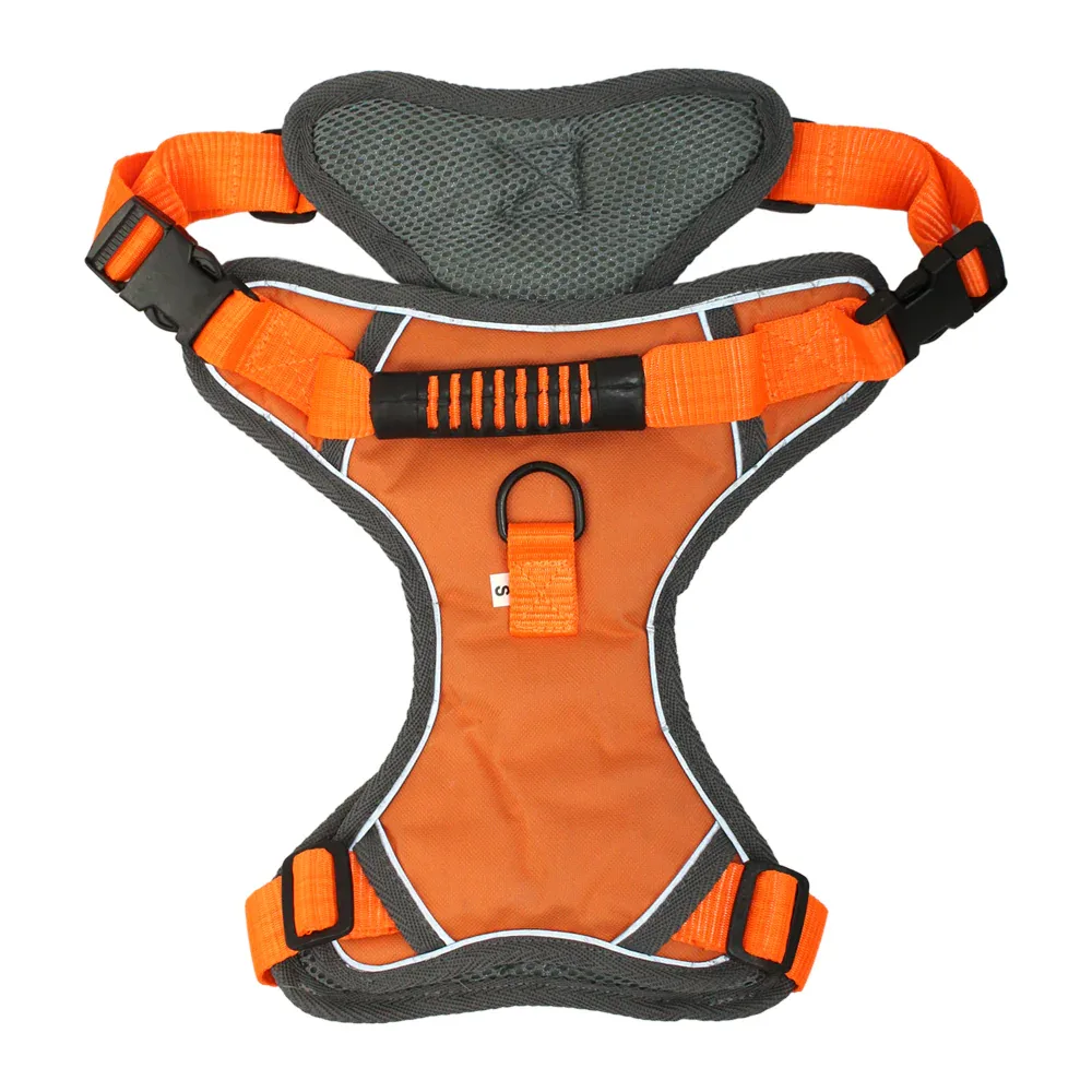 Fancy Harness Water Resistant with Refractive