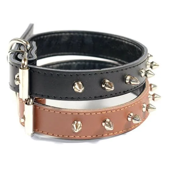 Leather Collar with Spikes