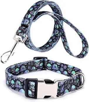 Printed Nylon Collar with Leash