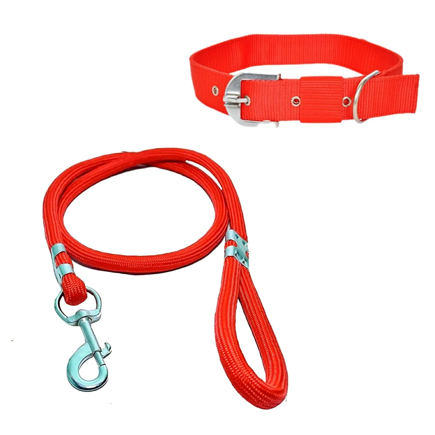 Nylon Collar with Leash
