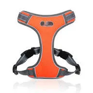 Fancy Harness Water Resistant with Refractive