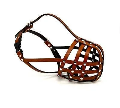 Leather Muzzle