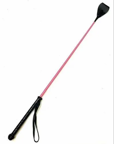 Walking-Training Stick