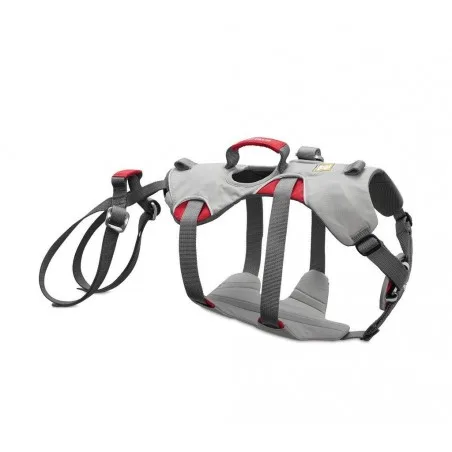 Fancy Harness Double