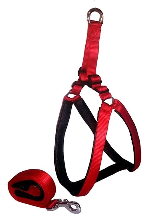 Nylon Harness with Leash