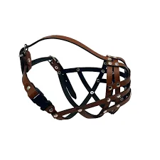 Leather Muzzle