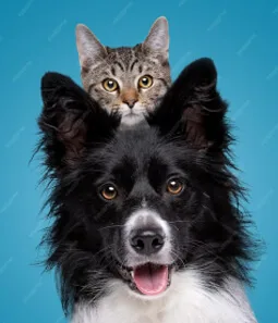 Pet care products